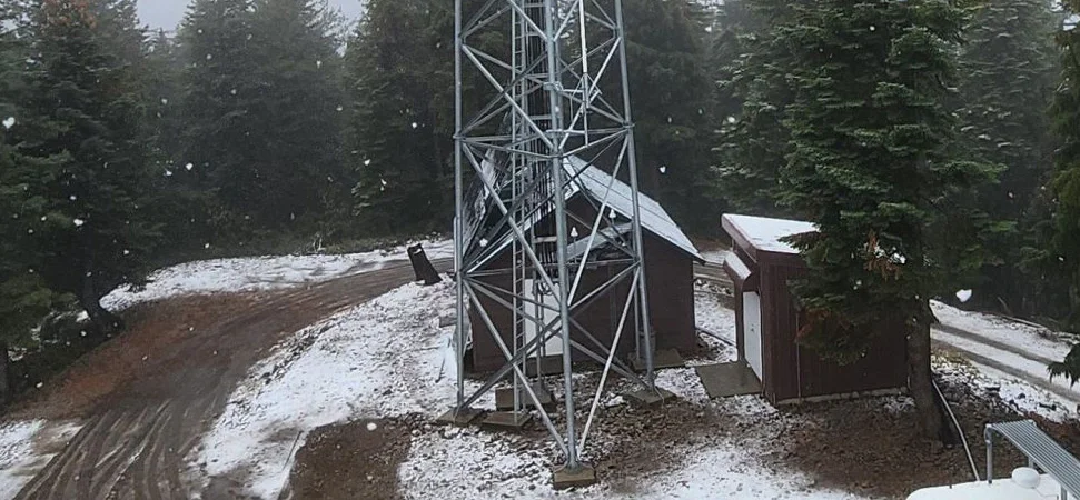 License Renewals and Cancellations